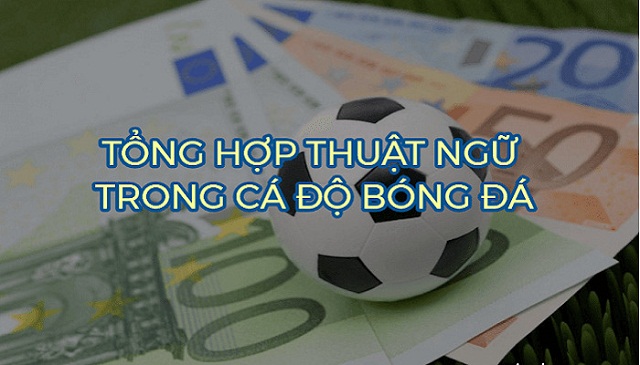 Giải nghĩa thuật ngữ trong kèo bóng cho người mới