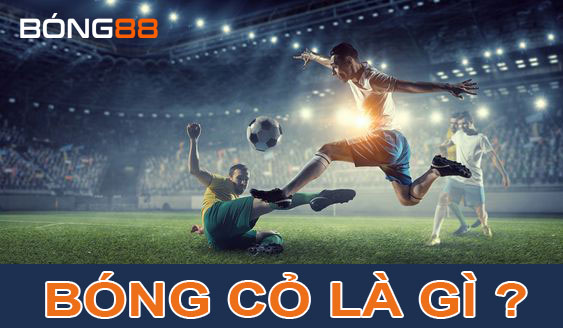 Bóng cỏ là gì