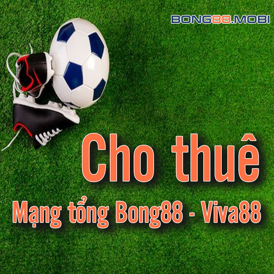 Cho thuê mạng tổng Bong88 - Viva88