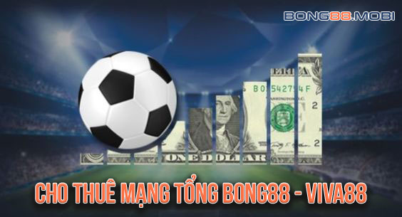 Cho thuê mạng tổng Bong88 - Viva88